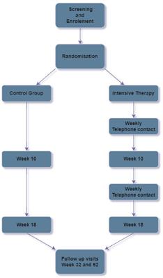 Evaluating a systematic intensive therapy using continuous glucose monitoring and intermittent scanning glucose monitoring in clinical diabetes care: a protocol for a multi-center randomized clinical trial